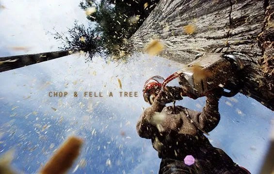 chop-and-fell-a-tree