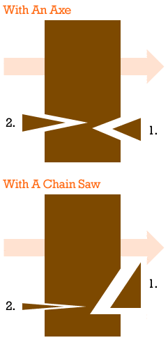 proper-way-to-cut-down-a-tree