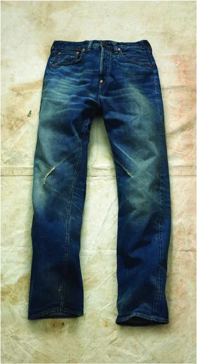 jcrew-levis-heritage-barren-land-jean