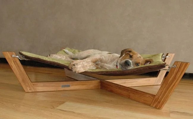 pet-lounge-studios-bambu-hammock-gear-patrol