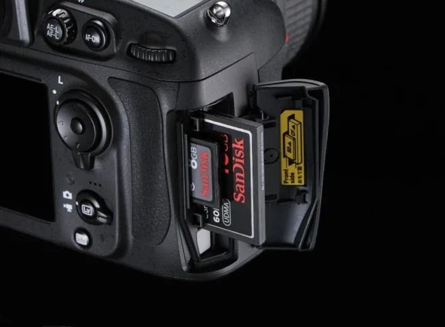 Nikon D800 | Gear Patrol