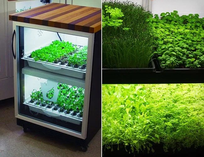 urban-cultivator