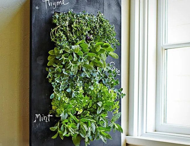 GroVert-Chalkboard-Wall-Planter-Gear-Patrol