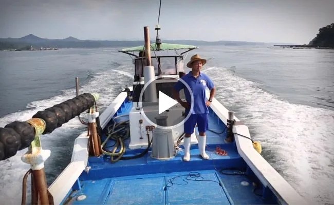 viewfinder-the-farmer-and-the-bluefin-gear-patrol