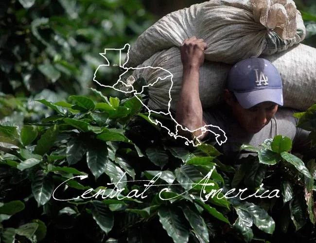 central-america-coffee-beans