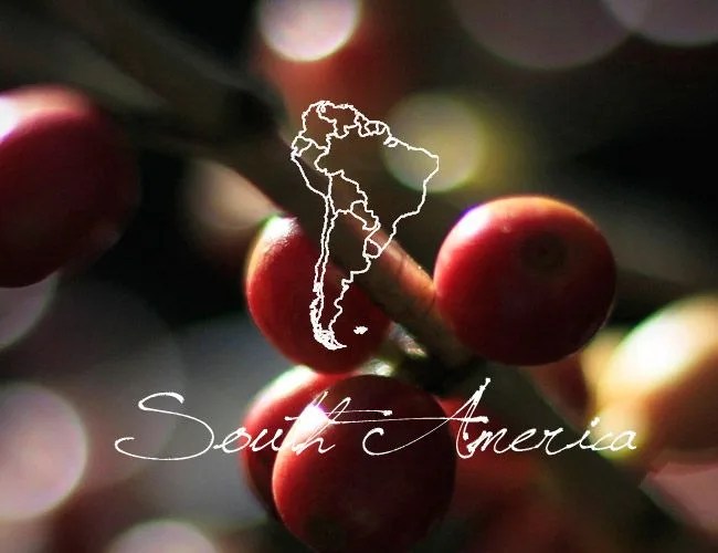 south-america-coffee-beans