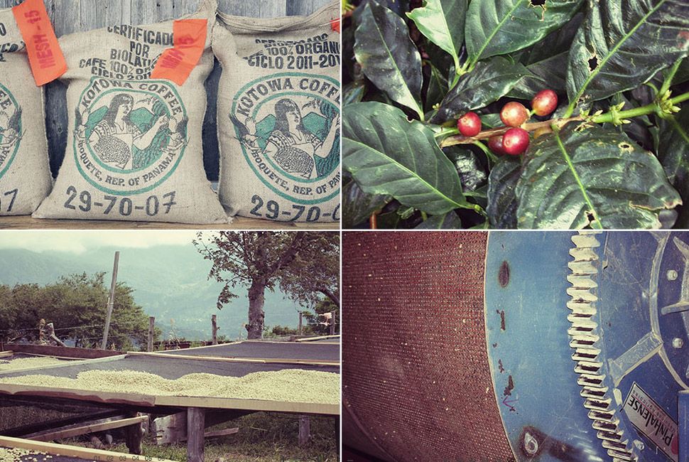 stumptown-panama-duncan-estate-mesh-15-gear-patrol-full