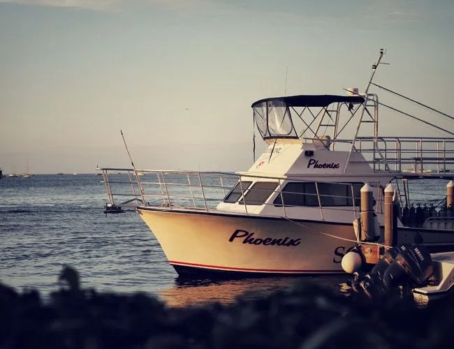 Hyatt-Key-West-resort-and-spa-gear-patrol