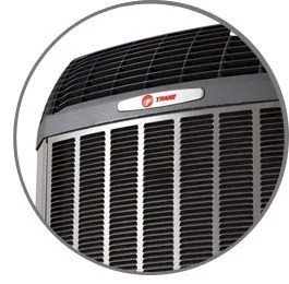 serious-sweat-equity