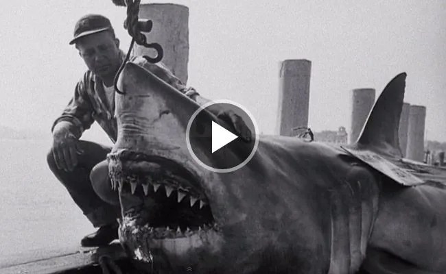 Viewfinder-Blue-Water-White-Death-Gear-Patrol-Lead