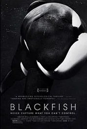 Blackfish