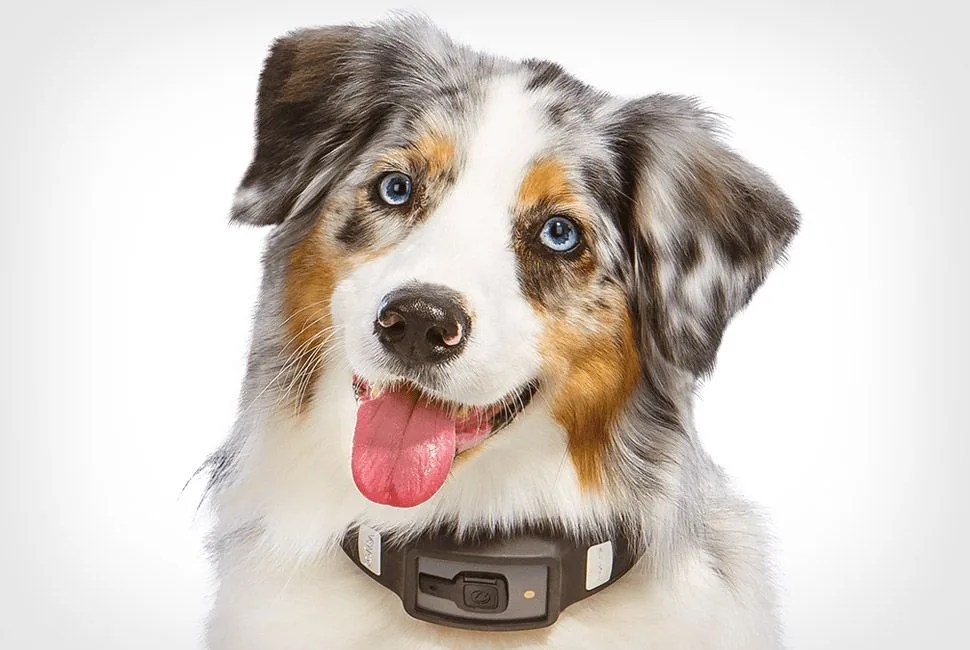 Voyce-Gear-Patrol-Lead-Full