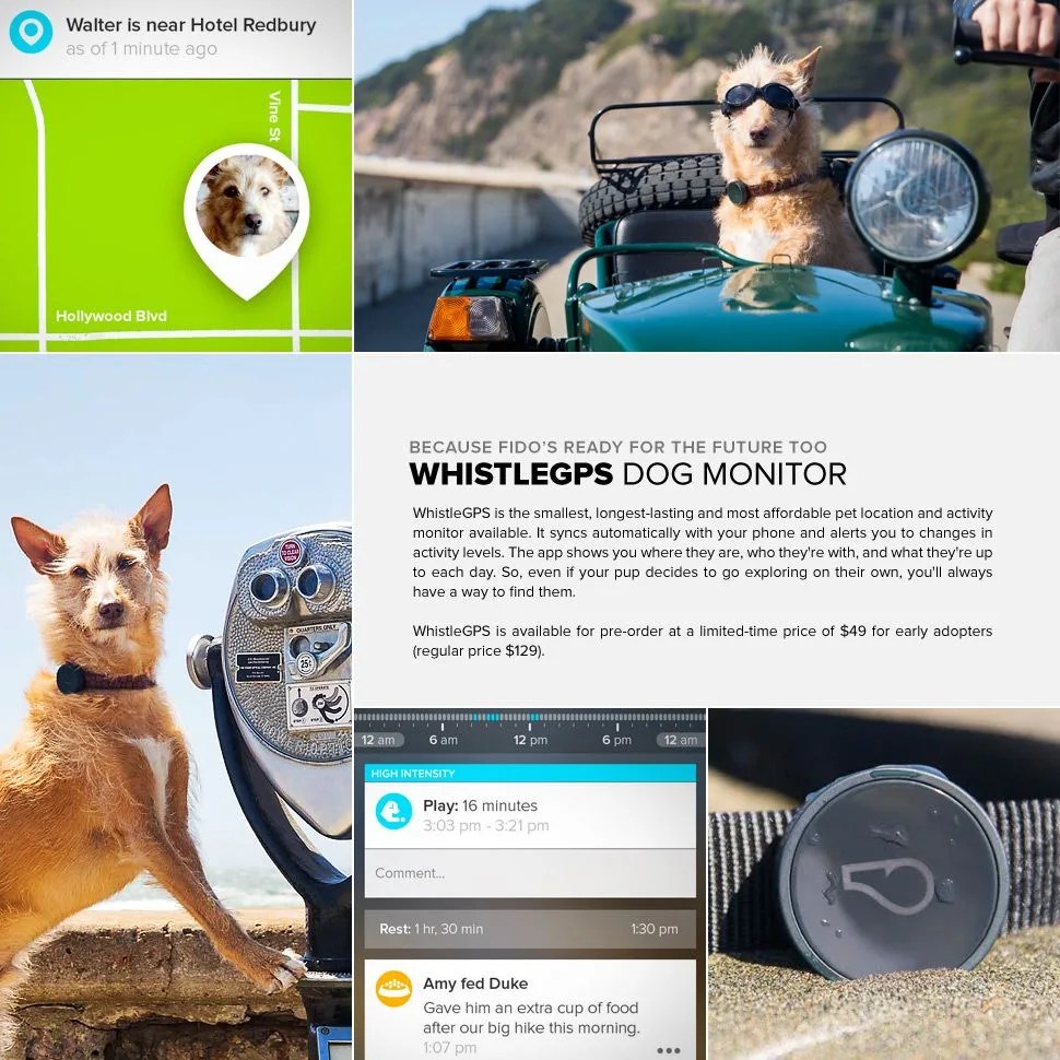 WhistleGPS-Lead-Final-Gear-Patrol-Full-Final-Final