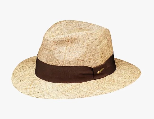 Borasalino-Straw-Hat-Gear-Patrol