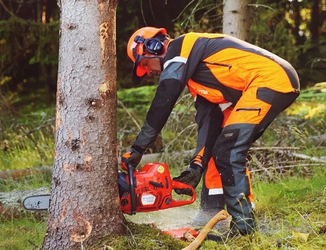 how-to-fell-a-tree-gear-patrol-lead