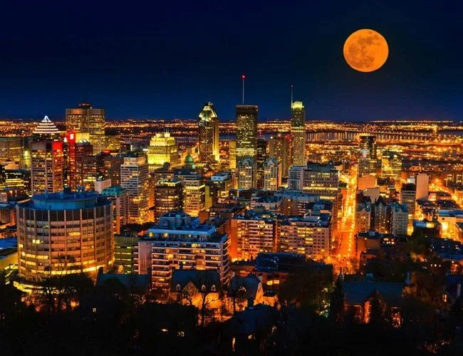 72-Hours-Montreal-Gear-Patrol-Lead