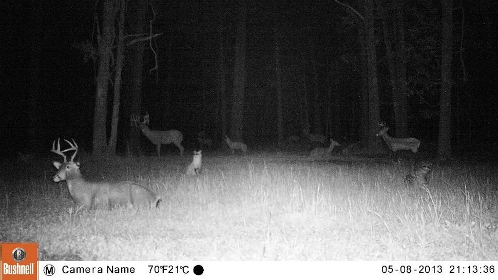 Bushnell-Night-Vision-Gear-Patrol-Ambiance-Full