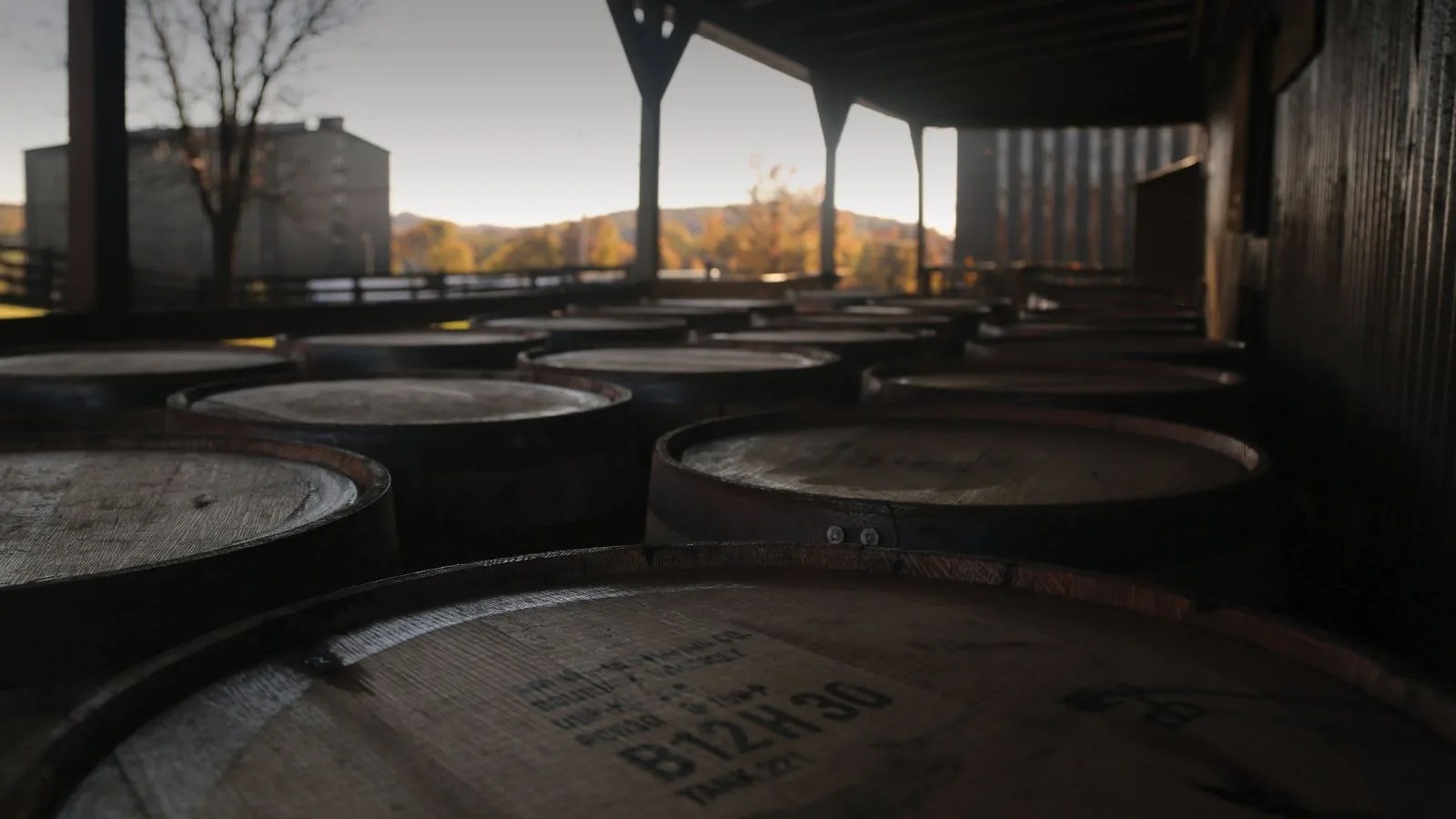 bourbon-trail-cinematic-hero