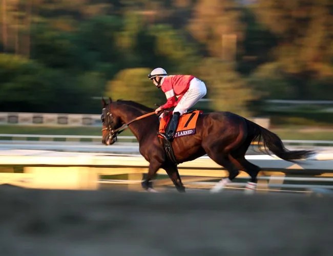 Breeders-Cup-Gear-Patrol-Slide-2