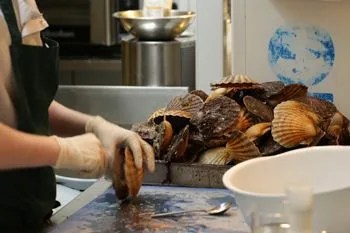 Scallop-Essay-Gear-Patrol-Ambiance