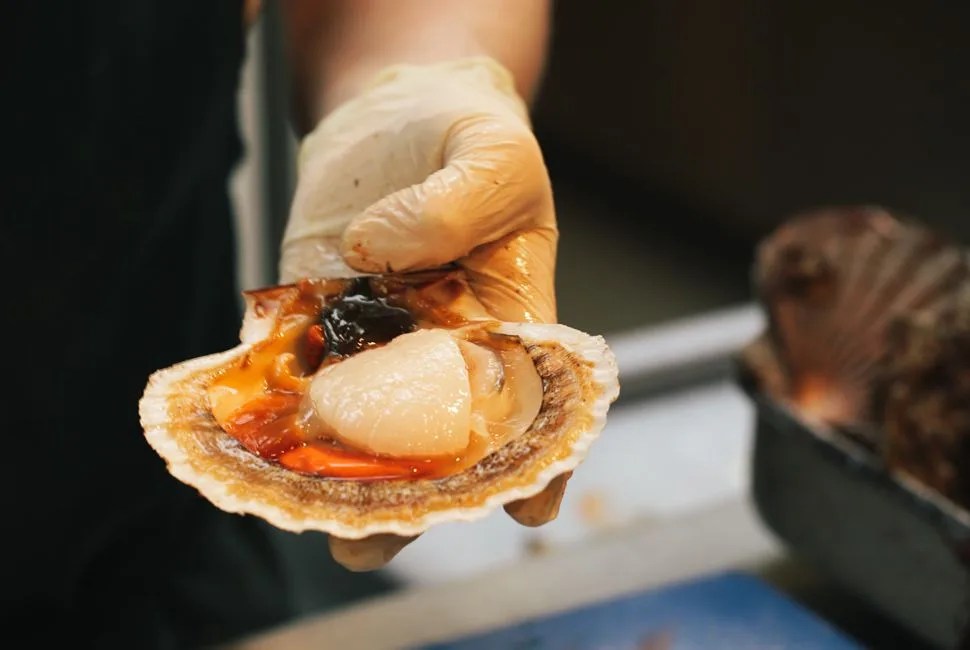 Scallop-Essay-Gear-Patrol-Lead-Full