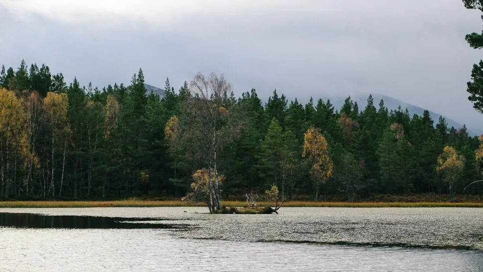 Scotland-Fishing-Gear-Patrol-Ambiance-1