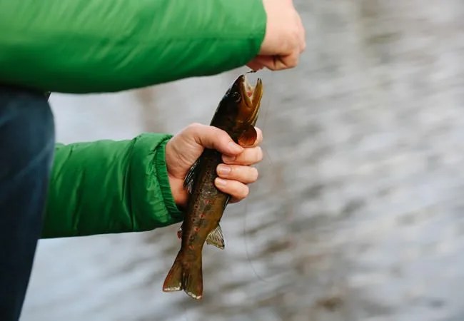 Scotland-Fishing-Gear-Patrol-Ambiance-2