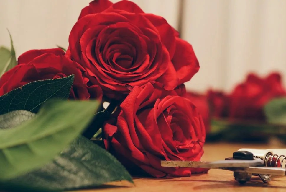 Bouquet-Gear-Patrol-Lead-Full-