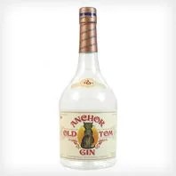 TIG-gear-patrol-anchor-gin