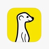 TIG-gear-patrol-meerkat-198