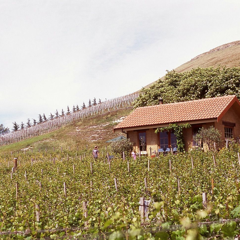 BH-Cottage-09—Colour