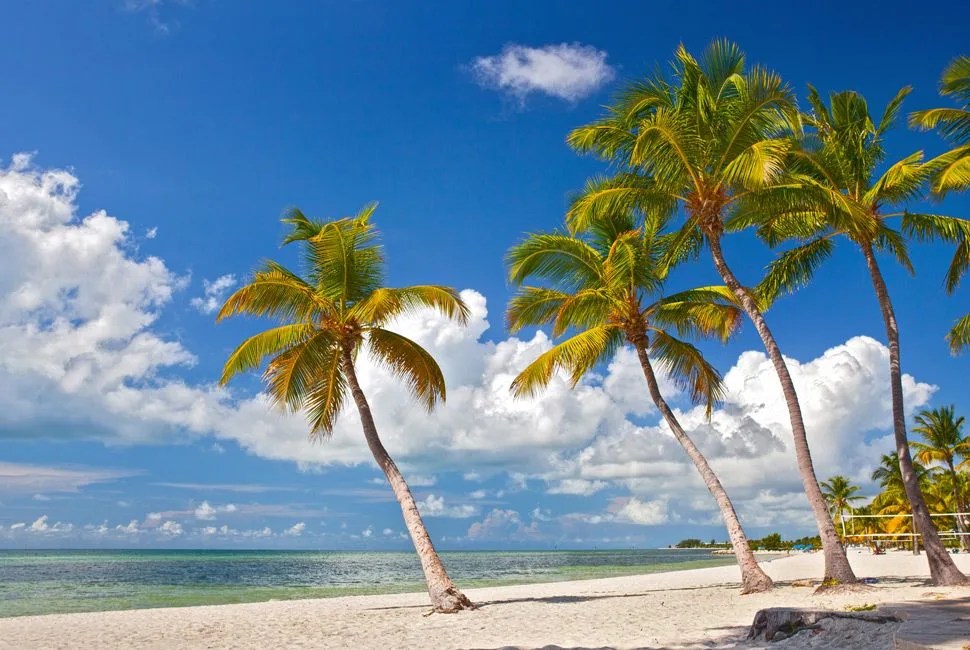 Tropical summer paradise in Key West Beach Florida with Palm trees and ocean background