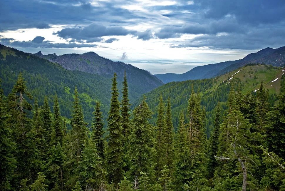 Olympic Peninsula - Strait of Juan de Fuca and Cruise Ship in Far Distance. Olympic National Park Scenic View. Washington State USA. American National Parks Photography Collection.