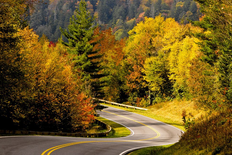 winding paved road through autumn foliage in Smoky Mountains