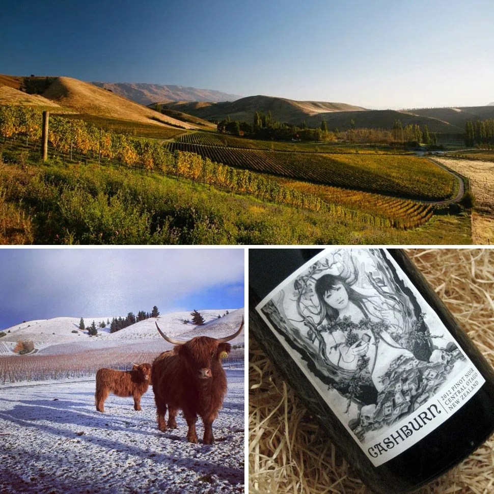 best-wineries-of-new-zealand-burn-cottage-vineyard-gear-patrol