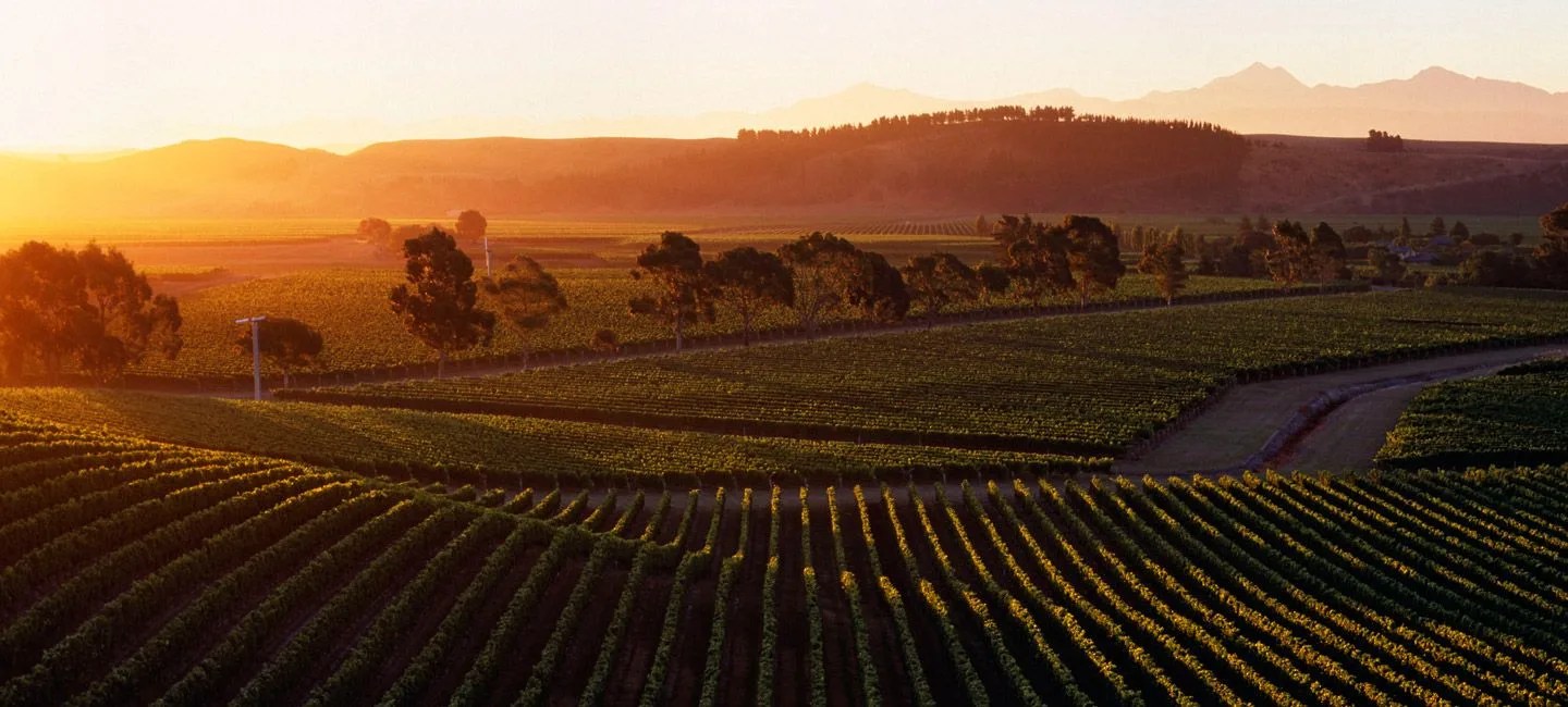 best-wineries-of-new-zealand-gear-patrol-lead-full