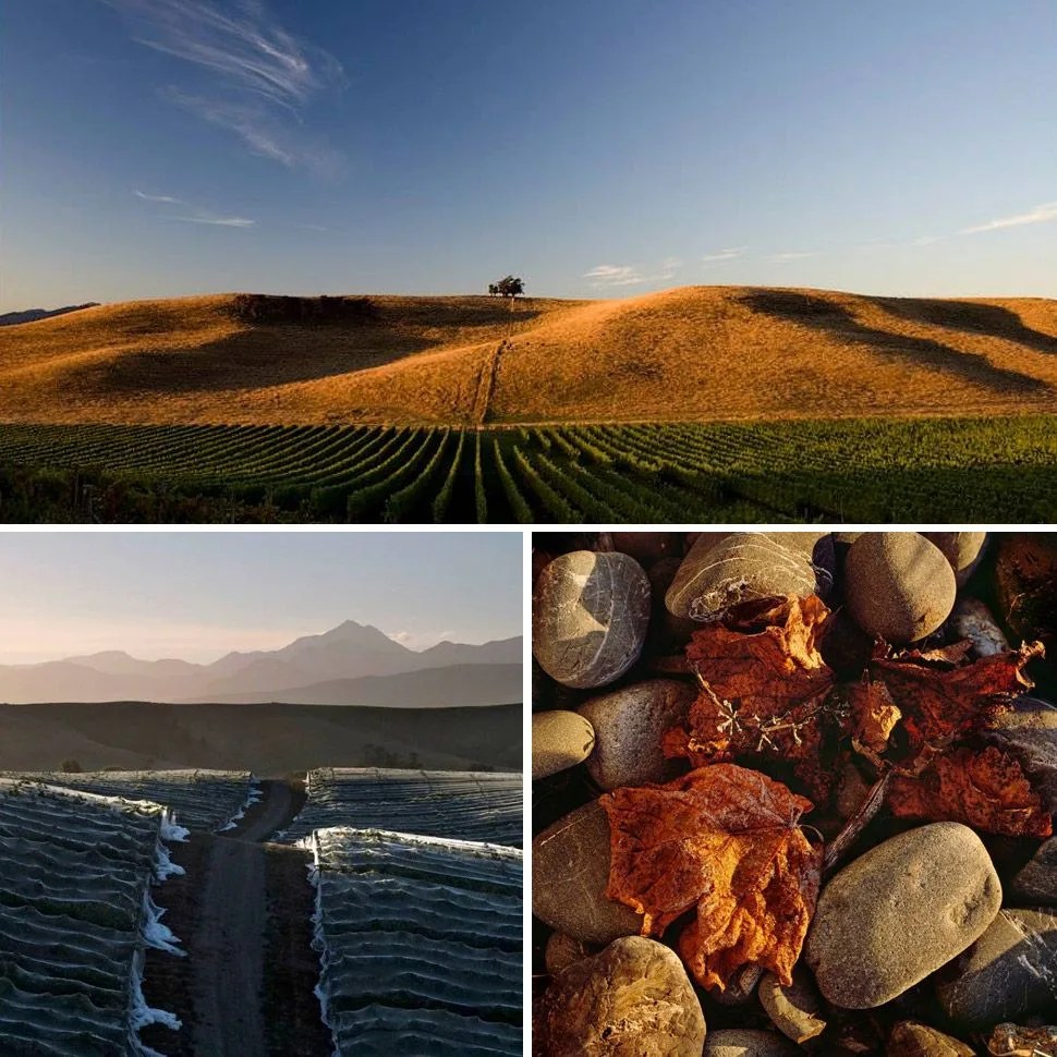 best-wineries-of-new-zealand-greywacke-vineyard-gear-patrol