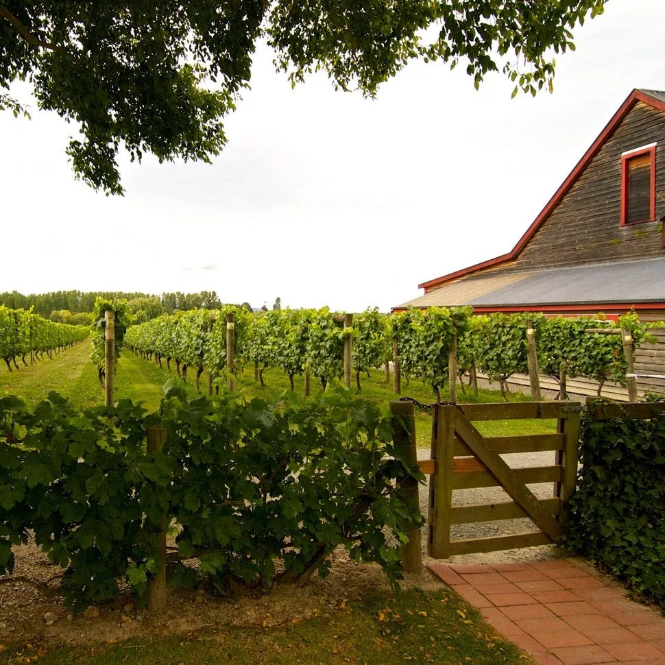 best-wineries-of-new-zealand-neudorf-vineyards-gear-patrol