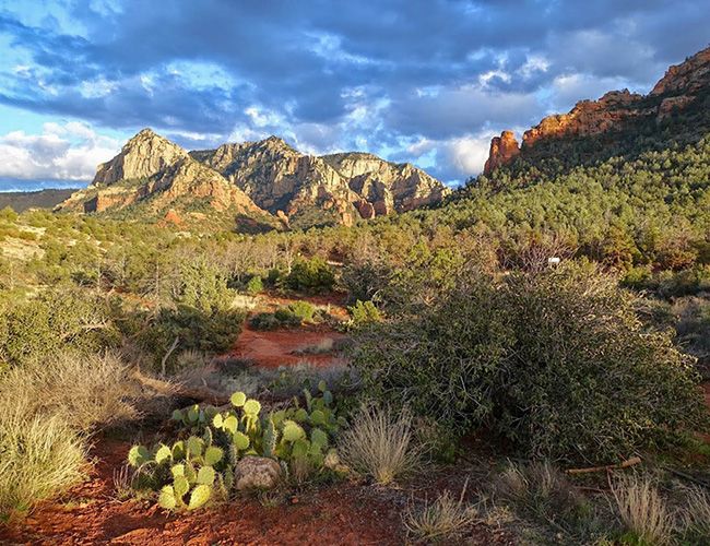 gear-patrol-72-midwest650