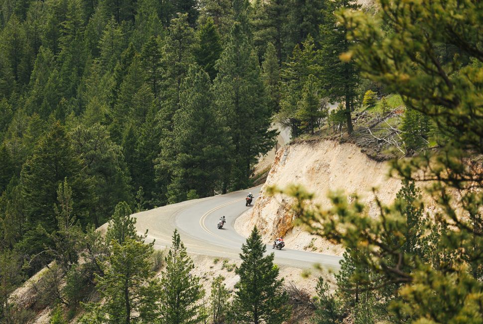 Postcard-Oregon-Curve