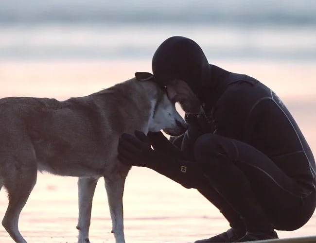 viewfinder-gear-patrol-denali-650