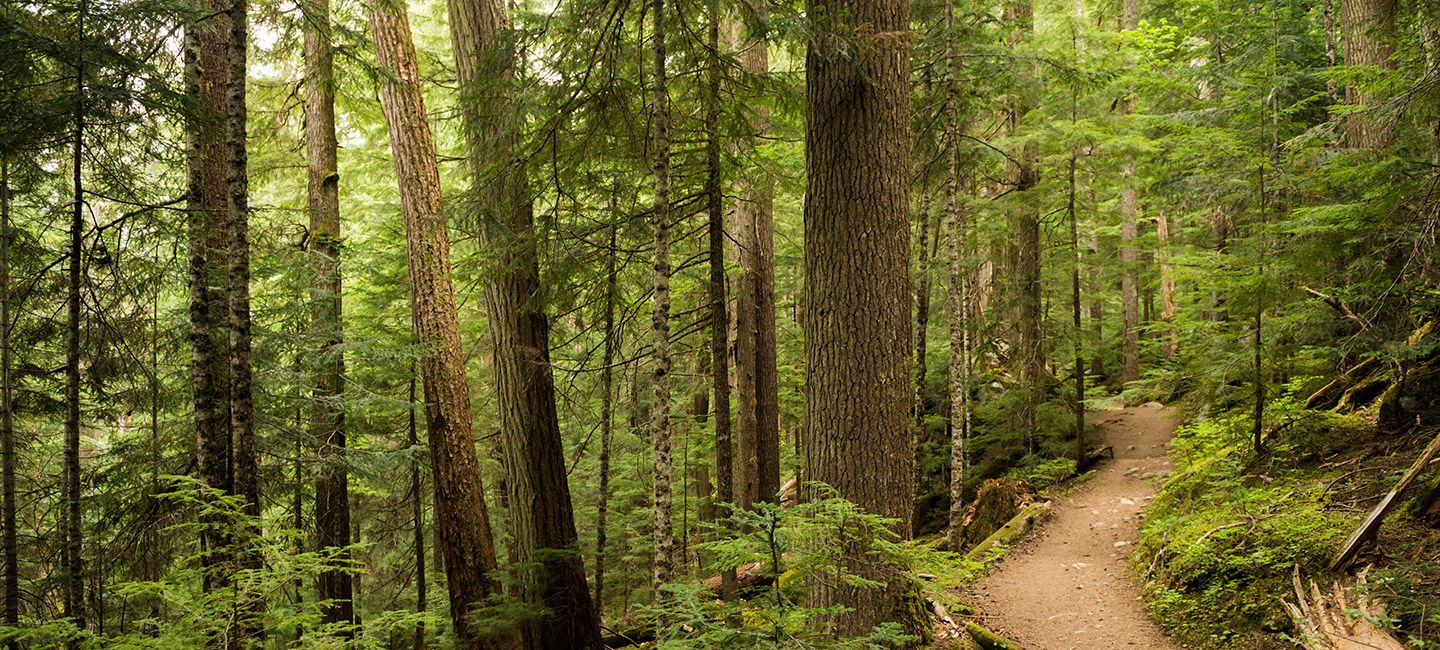 podcast-gear-patrol-1440