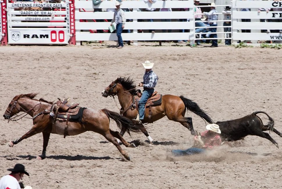 How-To-Wrestle-A-Steer-Gear-Patrol-Lead-Full