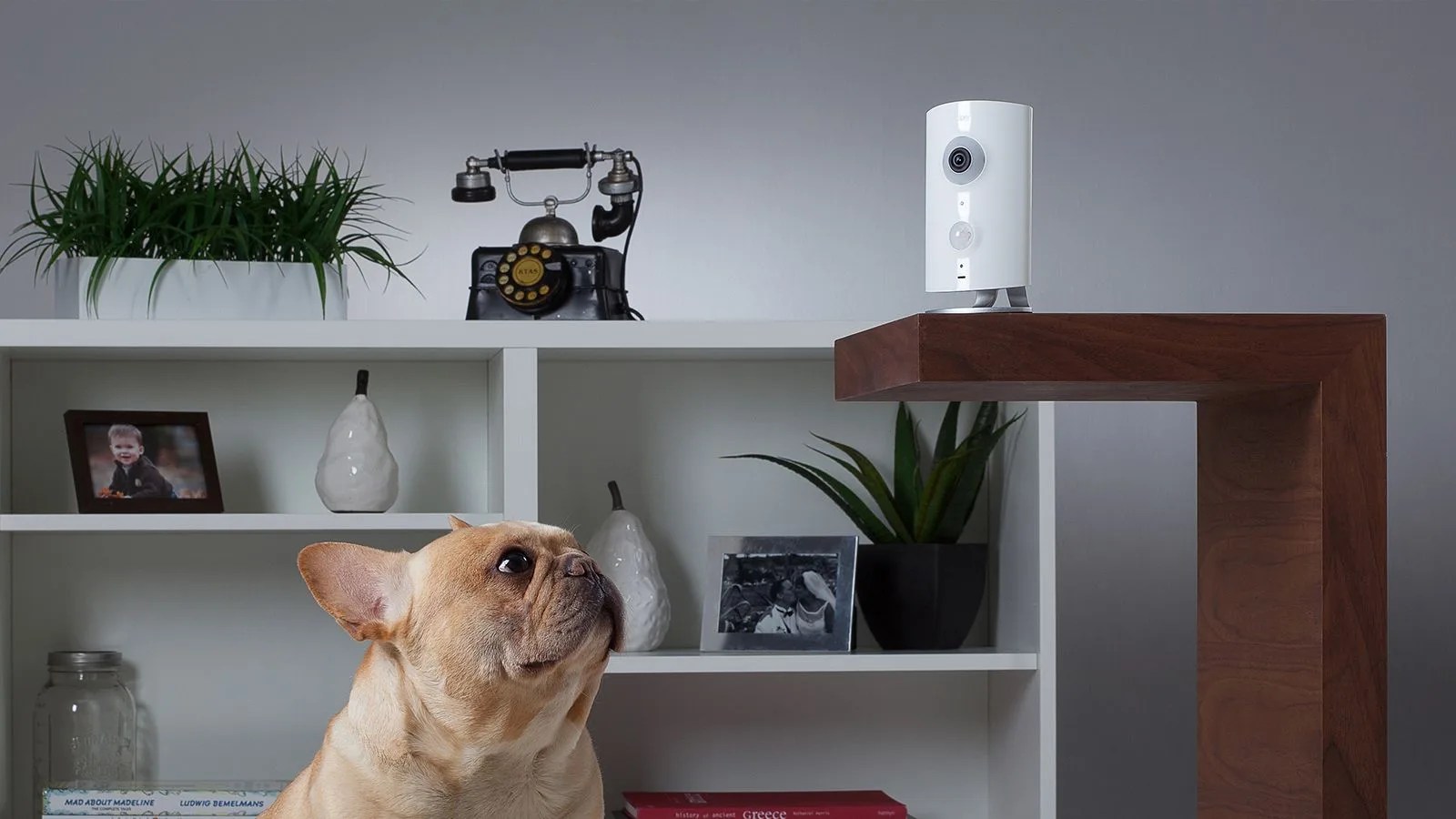 Piper-GP100-Gear-Patrol-Hero-Center-White