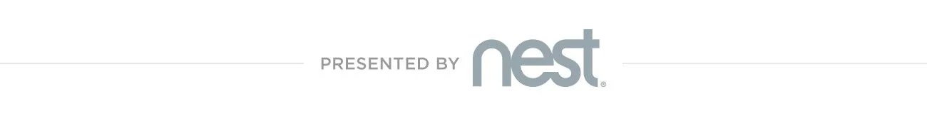 Nest_Promo-Box-650×80