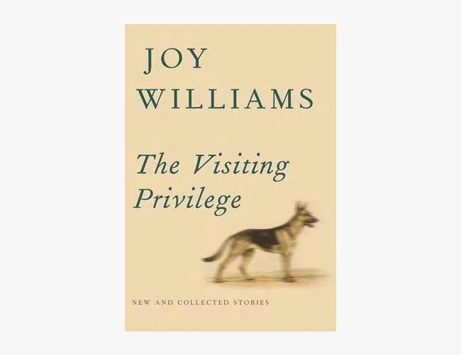 weekend-books-gear-patrol-visiting-privilge
