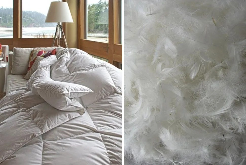 bedding-gear-patrol-featheredfriends