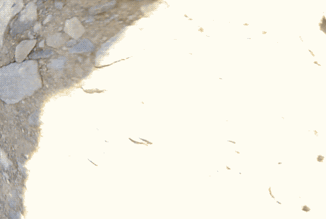 How-to-fly-drone-gear-patrol-Lead