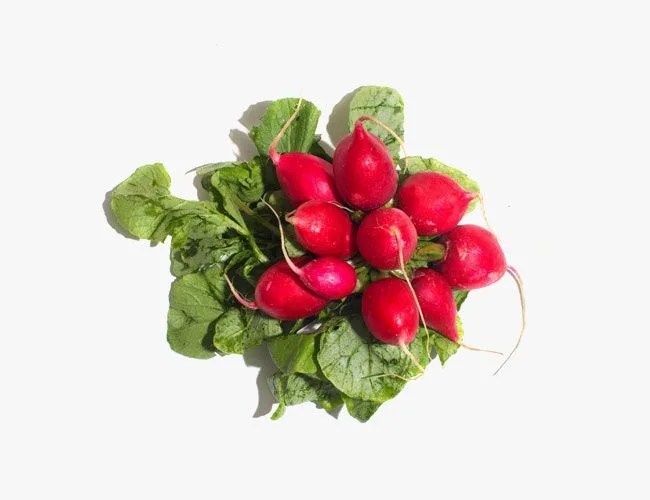 spring-vegetables-gear-patrol-radishes