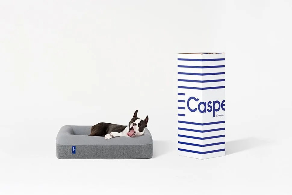 TIG-gear-patrol-casper-dog-bed